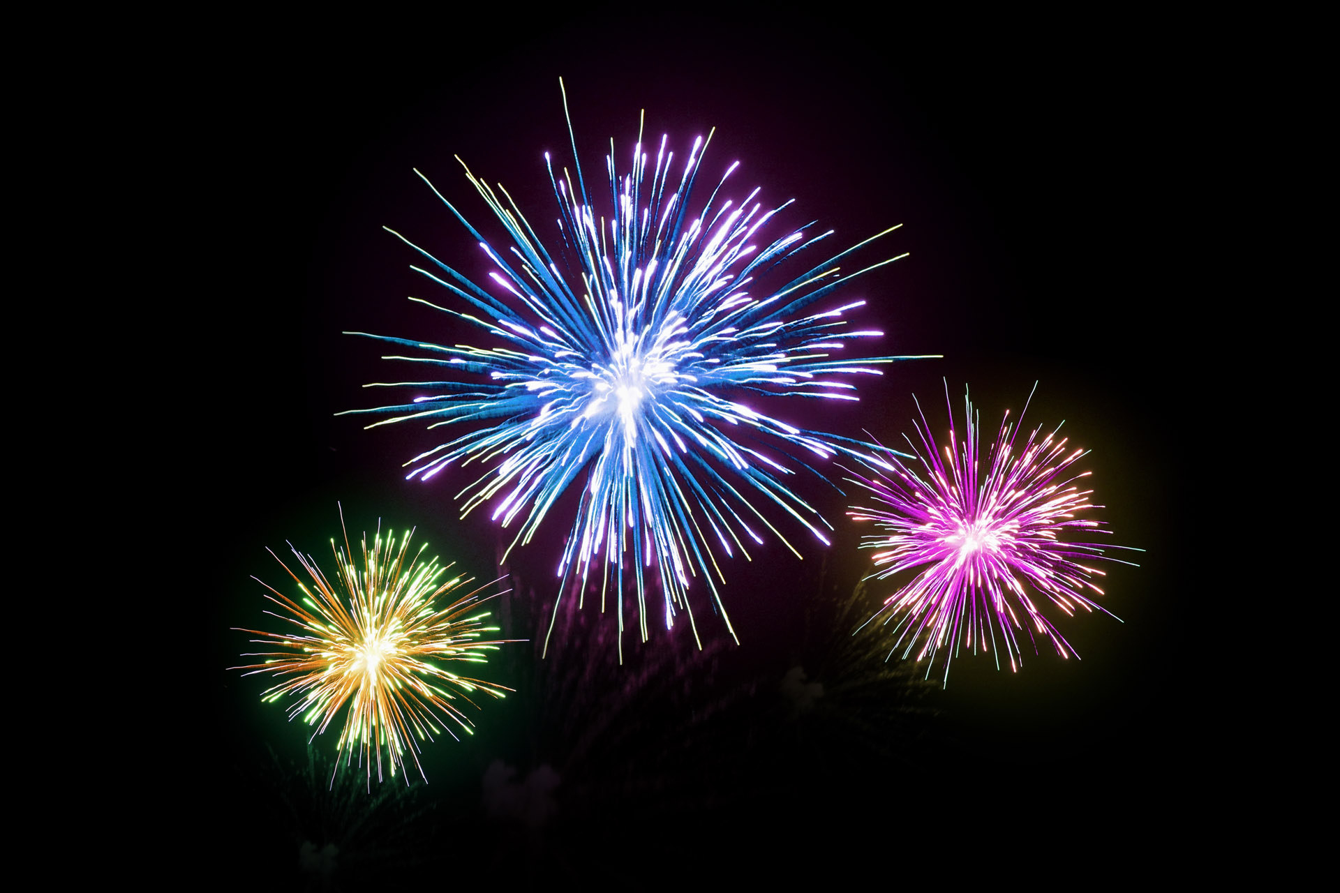 Nu blir Ducatus även digital och blädderbar!