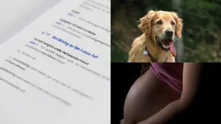 Löneberäkning - rätt lön tillrätt person i slutet av månaden
