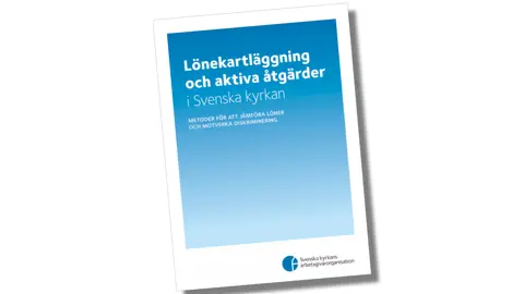 Lönekartläggning Artikelbild Webb (1)