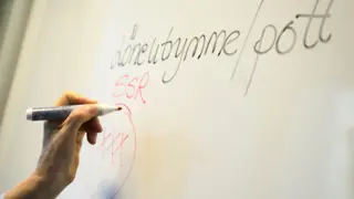 Rättvisa löner - metod för lönekartläggning (E-utbildning)