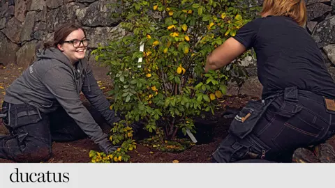 Ellen Till Det Här Innebär