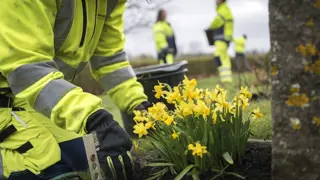 Arbetsmiljöansvaret på kyrkogården
