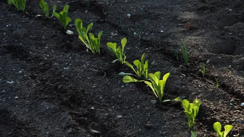 Ny som kyrkoherde/kyrkoherde på ny post? Välkommen på digital träff!